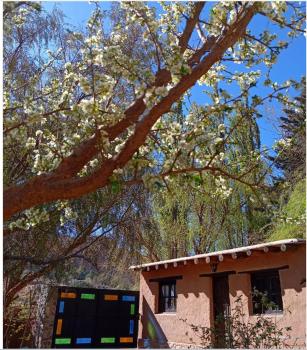 Los Amarantos, Tilcara (foto 2)