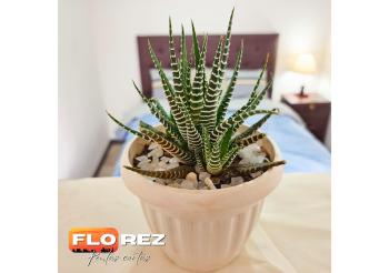 FLOREZ APT6 - Céntrico, acogedor con calefacción, La Paz (foto 5)
