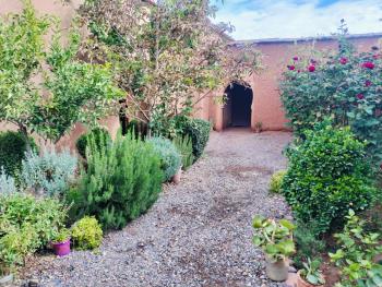 Ryad-IGRANE, Ouarzazate (foto 2)