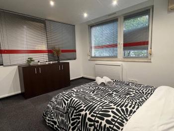 Charmant appartement Strasbourg, Strasbourg (photo 5)