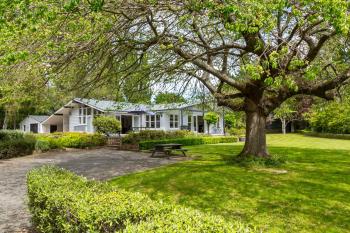The Cattlestop, Martinborough (fotografie 5)