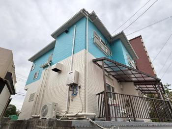 ジャスミン, Beppu (zdjęcie 4)