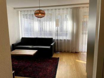 Charming 1BR flat in the city centre - West9, Curych (fotografie 3)
