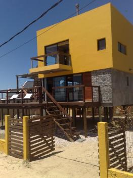 Lobos de Mar, Punta Del Diablo (foto 3)