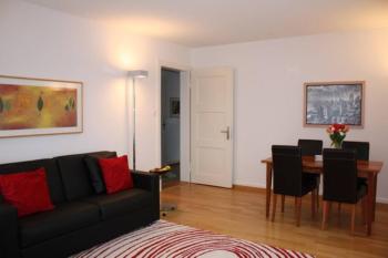 1BR apartment close to Opera - SF7, Zürich (Foto 4)