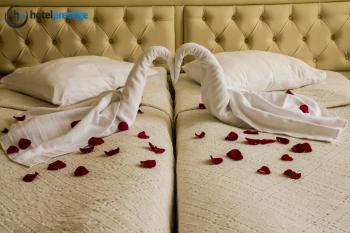 Hotel Prestige, Брюссель (фото 4)