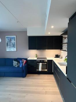New 1 bedroom apt with balcony, Oslo (photo 5)