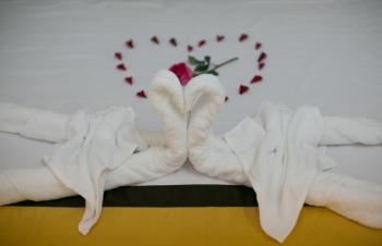 Snow Pearl Homestay Hoi An, Hoi An (fotografie 3)