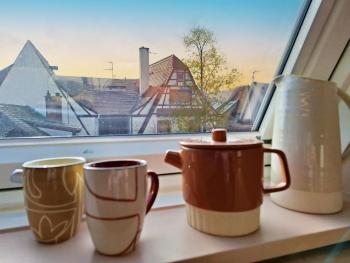 Le Petit Zix - Cosy et Terrasse, Petite France, Strasburgo (foto 4)