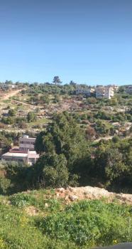 ريف عجلون, Ajlun (foto 2)