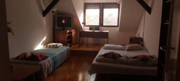 Hakuna Matata - Room in Budapest - Near Buda Castle, Parliament and Margaret Island, Budapest (Foto 3)