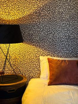 Cosy Boudoir Suites - 4p, Antverpy (fotografie 5)
