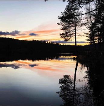 Koselig hytte på gårdstun i Oslo, Oslo (Foto 5)