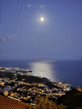 Countesses Villa, Câmara de Lobos (fotografie 5)
