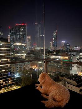 Black Pearl - Amazing City View, 130 sqm, Varsovie (photo 4)