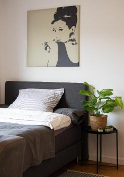 Zentrale Wohnung im Szeneviertel 2,5km bis zur KÖ, Düsseldorf (fotografie 5)