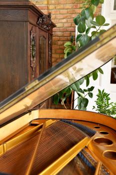 VILLA GIULIETTA BUDAPEST with GARDEN, FREE PARKING, Budapest (foto 5)