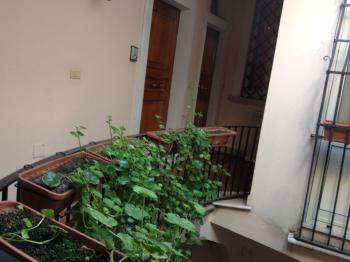 Bed & Breakfast Federico II, Фоджа (фото 5)