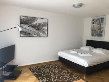 Bright studio in the city center - Greenyard 1, Zúrich (foto 4)