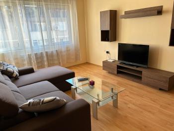 Nice, Spacious and Cozy Apartment, Sofie (fotografie 4)