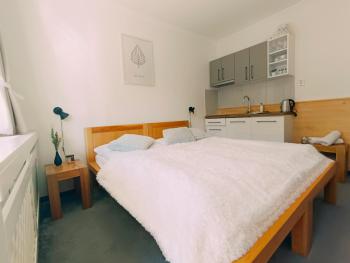 Štúdio Srnček - Tatranská Štrba - wellness, bazén, Štrba (foto 2)