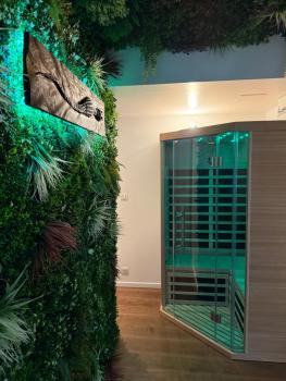 90m2 hyper centre Sauna, Strasbourg (photo 3)