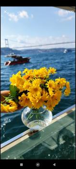 A beautiful house on the Bosphorus in a wonderful garden, Istanbul (foto 2)