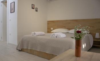 old olive, Tirana (photo 2)