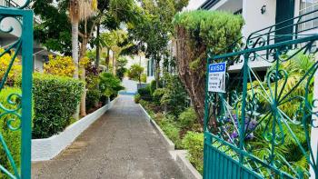 Monte Verde, Funchal (foto 3)