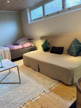 Coosy authentic swedish wooden studio apartment, 25 min to Stockholm city-Own entrance, Stockholm (photo 2)