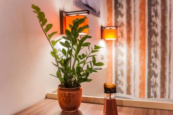 All In Apartman, Budapešť (fotografie 3)