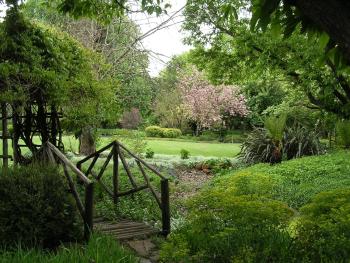 Cedar Garden, Underberg (fotografie 5)