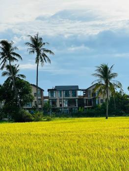 Laluka House, Hoi An (photo 4)