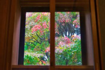 篝-Kagari-, Hakone (fotografie 5)