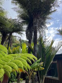 Punga Cabin, Cooks Beach (Foto 5)