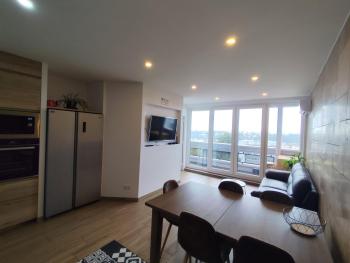 3 Chambres 3 Salles de bain Vue panoramique Lyon, Lyon (fotografie 5)