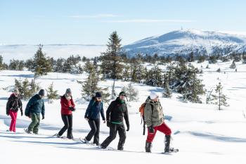 Villa Sole, Trysil, Trysil (foto 5)