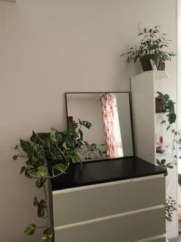 King's Oak Jungle, Helsinky (fotografie 4)