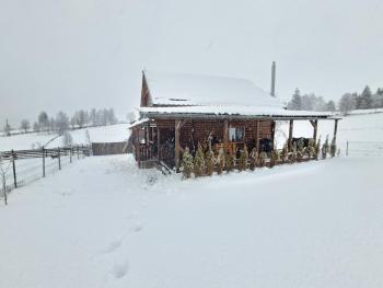 Căsuța de munte, Mărişel (fotografie 5)