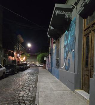 Blue Elephant House, Buenos Aires (photo 3)