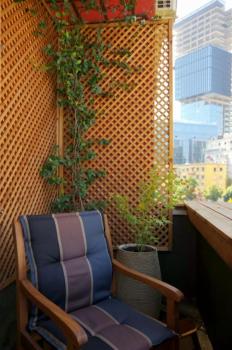 Introvert's Den, Tirana (photo 4)