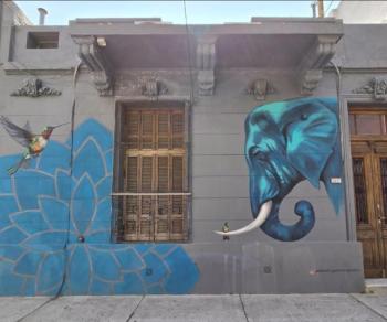 Blue Elephant House, Buenos Aires (photo 2)