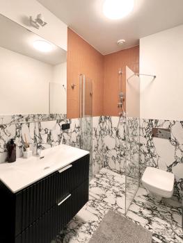 Elegant Apartment in the City Center, Wrocław (photo 4)