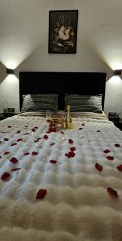 Luxury Skyview Suite, Skopje (photo 5)