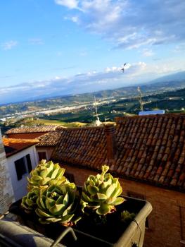 Sun Moon, Monteprandone (foto 5)