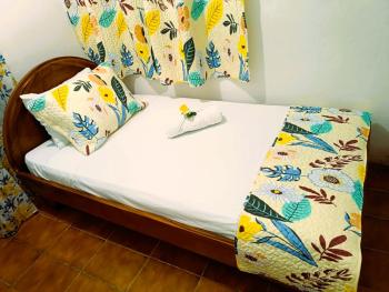 Tico Bed & Breakfast La Fortuna, Fortuna (photo 5)