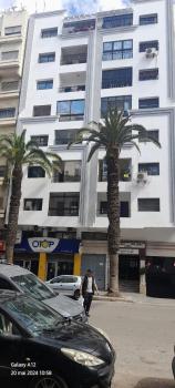 Moroccan Teguemi, Casablanca (foto 2)
