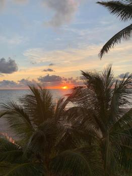 Oceanfront Studio in Fort Lauderdale, Pompano Beach (foto 5)
