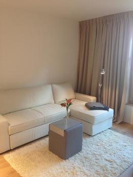 Carouge Loft Apartment, Ženeva (fotografie 3)