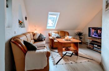 Waldblickwohnung mit schöner Terrasse und Kamin, Sebnitz (foto 4)